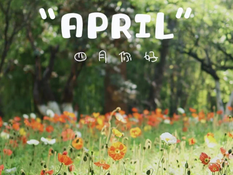 Bursdagshilsener丨Gratulerer med dagen til de som er født i april